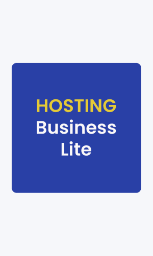 Business Lite - Rs.5999