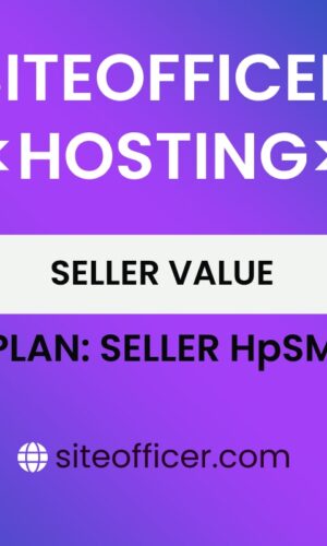 eCommerce Value - Rs.7999