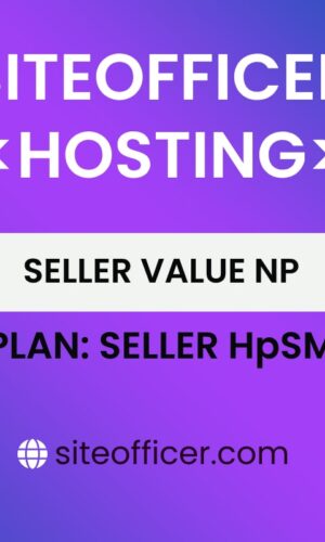 eCommerce Value (np) - Rs.6999