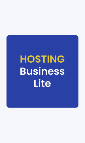 Business Lite - Rs.5999