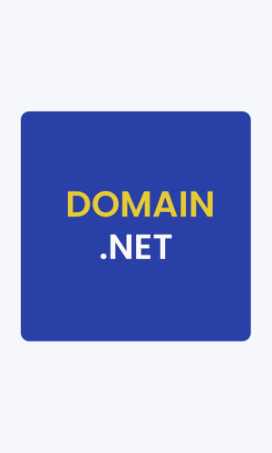 .net Domain