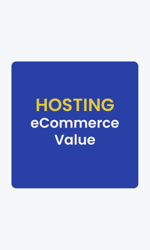 eCommerce Value - Rs.7999