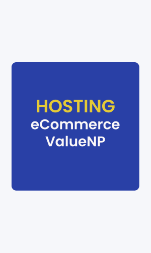 eCommerce Value (np) - Rs.6999